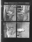 Livestock winners (4 Negatives (October 7, 1958) [Sleeve 10, Folder b, Box 16]